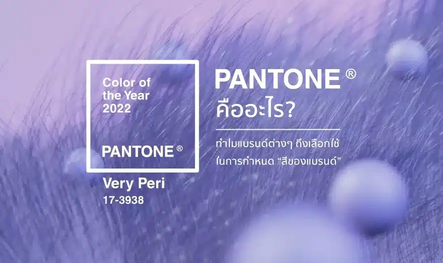 Pantone คืออะไร? ทำไมแบรนด์ต่างๆ ถึงเลือกใช้ในการกำหนด “สีของแบรนด์”