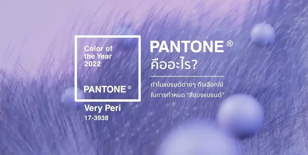 Pantone คืออะไร? ทำไมแบรนด์ต่างๆ ถึงเลือกใช้ในการกำหนด “สีของแบรนด์”