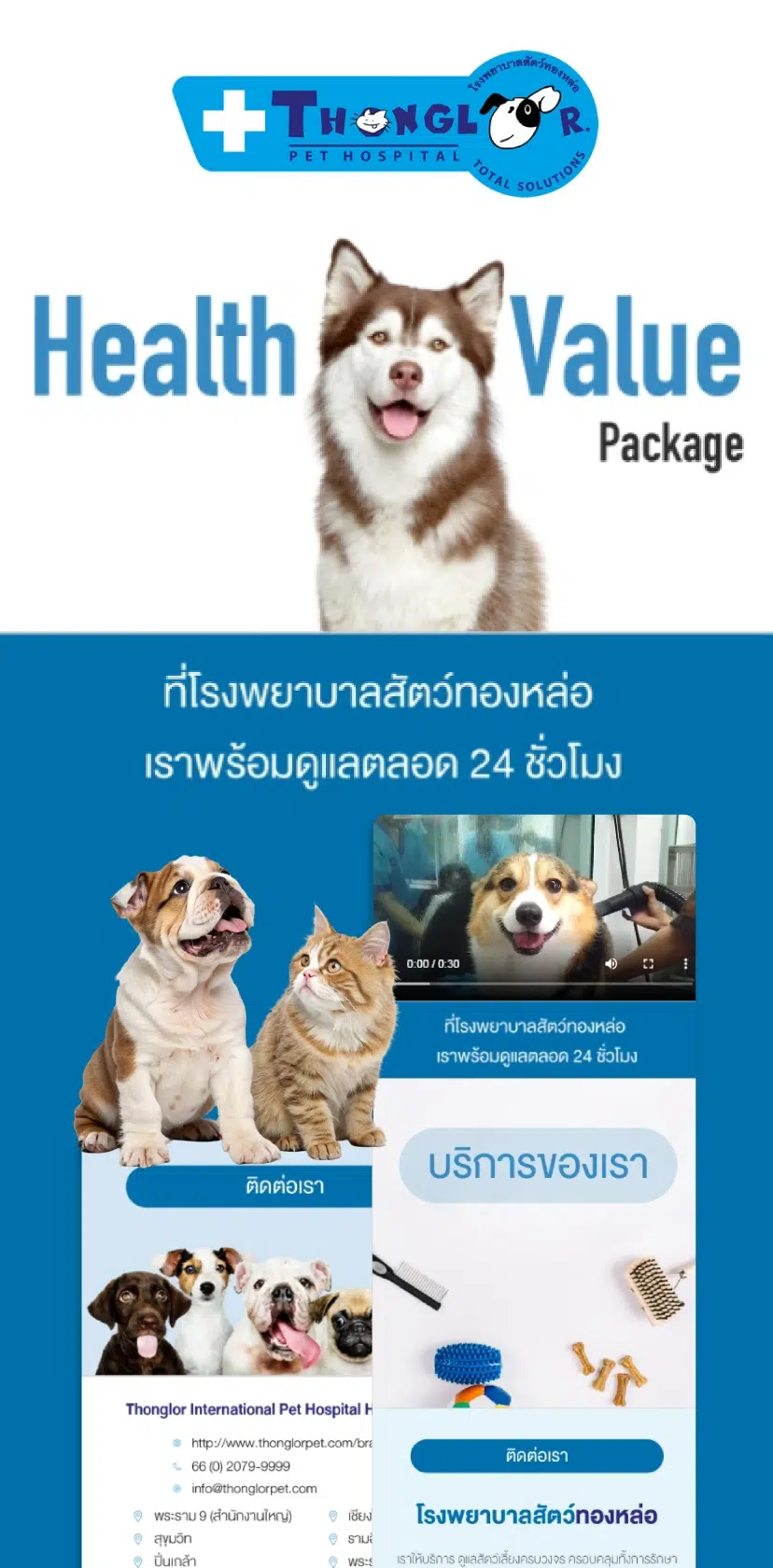 Thonglor Pet Hospital 2