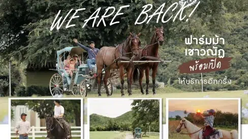 ฟาร์มม้า Chaowanat Horse Farm