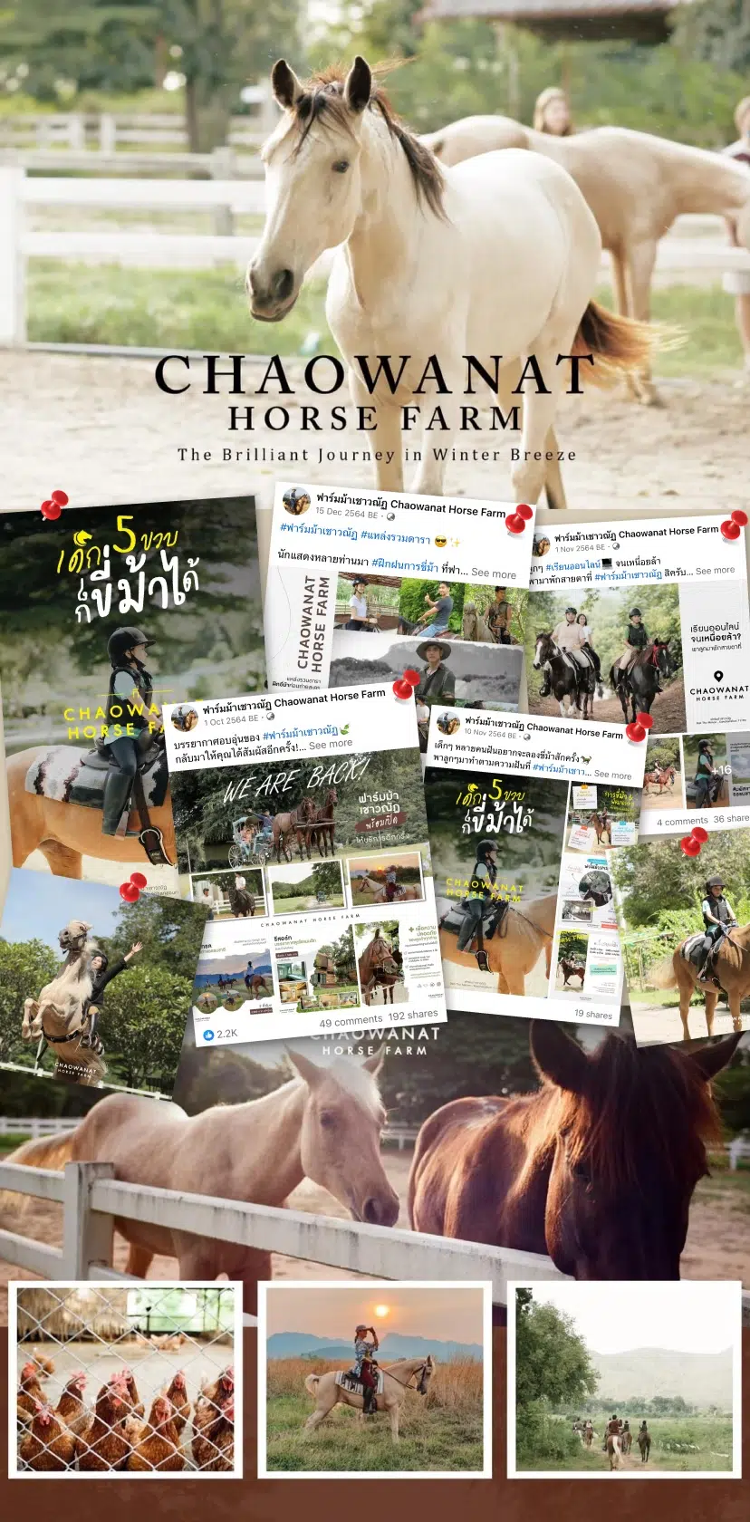 Chaowanat Horse Farm 2